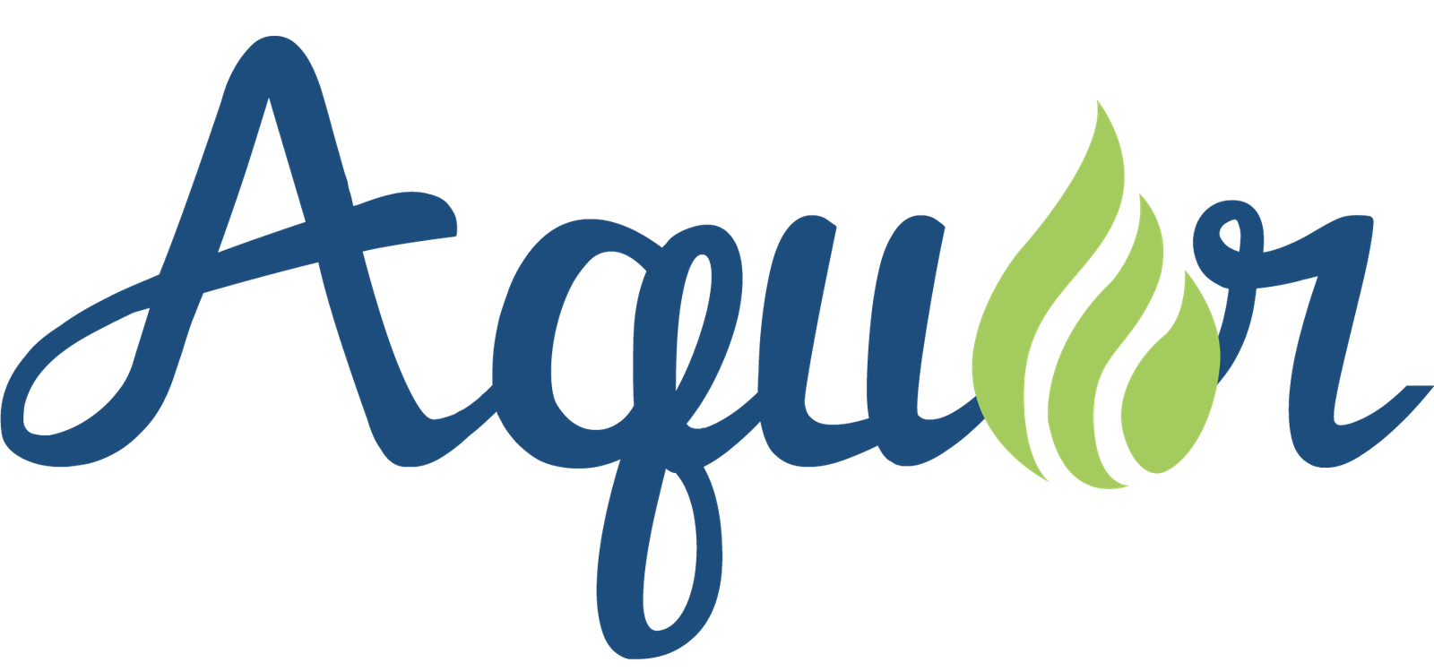 Produsen Strainer Nozzle/Filter Penjernih Air