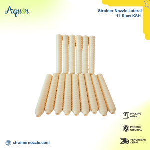 Lateral Strainer 11 Ruas