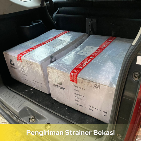 Strainer Alinco Hub SK6