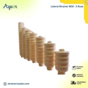 Lateral Strainer M30 - 2 Ruas