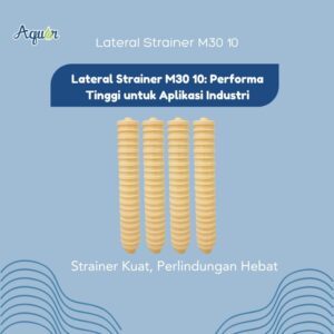 Lateral Strainer M30 10