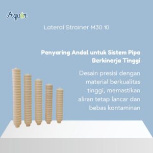 Lateral Strainer M30 10