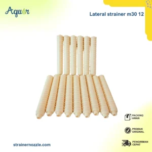 Lateral strainer m30 12